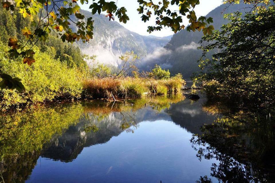 Greenheart Aussee Obersdorf エクステリア 写真